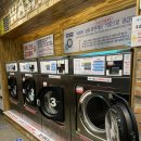 워시테리아 가양점 이미지