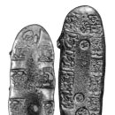 한일인삼 이미지