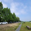 선동잔디구장 천연잔디구장 이미지