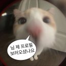 무제 - 남해군 남면로56번길 9 | [청주 성안길 맛집]: 한잔하기 좋은 곱도리탕 맛집 무제 후기 🍺