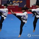 경희대금메달태권도 이미지