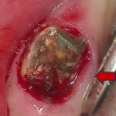 서울미유치과의원 이미지