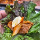 꼬꼬얌 | 꼬꼬오리주물럭 김포 맛집 후기