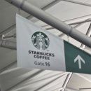 (주)니이즈 | 나고야 갈구야 옷딱구 레츠고