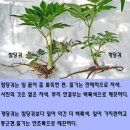 옥동(두위)지맥 제1구간 -만항재에서 꽃꺼기재(화절령)까지 이미지