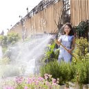 플랜테리어 홈가드닝 이미지