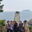 제주포인트투어 | 제주도 승합차 투어 기사포함으로 다녀온 언니들과 제주 원데이 투어 후기