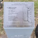 석양을 품은 물고기 이미지