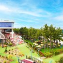 바다정원 속초카페거리 본점 이미지