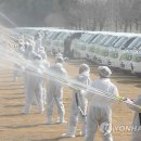 안성가축약품 이미지
