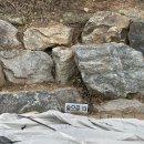 동혁농장 이미지