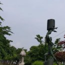 공존2000613 이미지