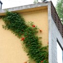 능내2리 마을회관 이미지