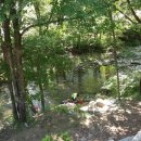 007흥정계곡 반딧불캠핑장 이미지