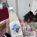 금풍 | 강화도여행(2)금풍양조장 막걸리체험 내돈내산후기