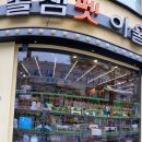 솔샘펫 이미지