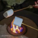 운암교 서쪽 (한양코스모스) | 제주 애월 가볼만한곳 제주 서쪽 여행