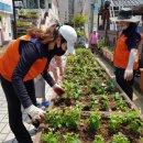 보성타운경로당 이미지