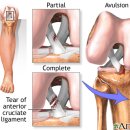 공덕인과한의원 이미지