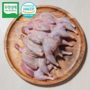 대한메추리 이미지