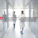 옐로우헤어클럽 이미지