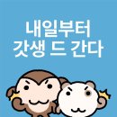 코스테이 | 9月의 일상