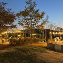 탄금호피크닉공원 1 이미지