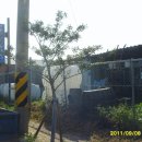 관산시장길 이미지