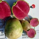 무주반디농장 이미지