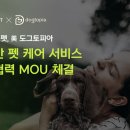 도그미 이미지