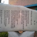 영산홍가 이미지