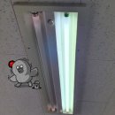 워크트랜드 네이버블로그