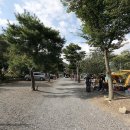 반딧불이 캠핑장 이미지