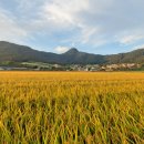 순흥농장 이미지