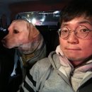 정코치독트레이닝센터
