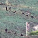 북한군 수십명 또 군사분계선 침범… 경고사격 받고 퇴각...“수차례 지뢰 폭발 사상자 발생” 이미지