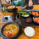 쪼꼬의 하루 그루밍샵 | 일정, 외야지정석 시야 (feat. 농민순대, 성심당, 꿈돌이 인생네컷, 다미치킨, 이글스샵, 열무국수)