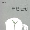 하아무 소설집 / 푸른 눈썹 이미지