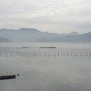 씨릉섬출렁다리 이미지