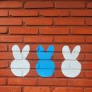 바니네민박집 이미지