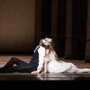 카멜리아 이미지