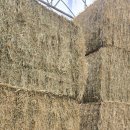 송아목장 이미지