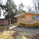중앙솔밭캠핑장 이미지