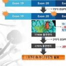 한국화학硏 이광호 박사팀, 세계 최초 4세대 폐암 치료제 개발 이미지