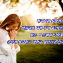 하늘사랑 이미지