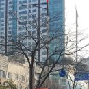 이레수선 네이버블로그