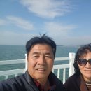 함평돌머리 ㆍ국화축제 이미지