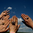 페이지(page) 이미지