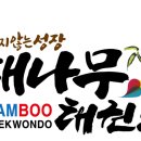 대나무태권도장 네이버블로그