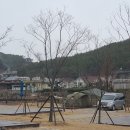 등억알프스야영장 이미지
